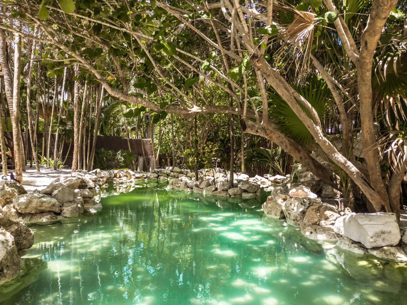 Niken Beachfront Tulum Hotel Экстерьер фото